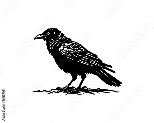 illustration of standing black raven crow in woodcut linocut engraving black ink print style 	