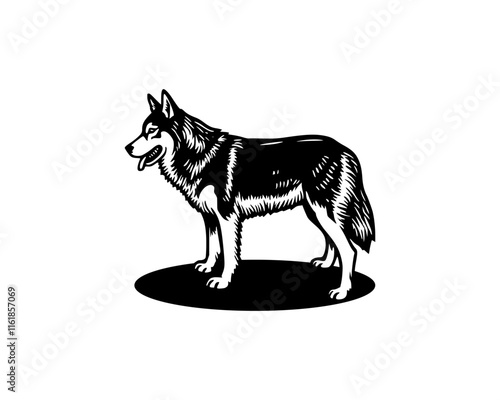 illustration of standing siberian husky wolf or dog breed in woodcut linocut engraving black ink print style 	