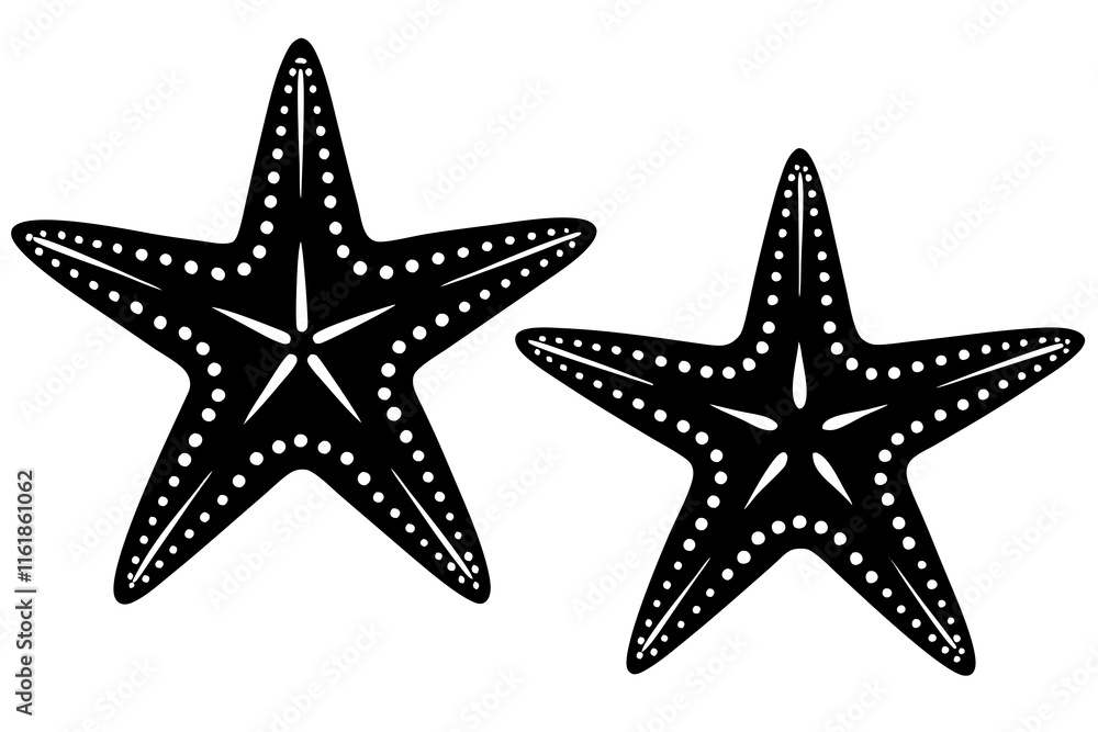 A Starfish silhouette icon vector illustrations A Starfish silhouette icon vector illustrations