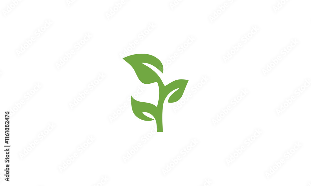 green sprout growing from soil green sprout growing from soil