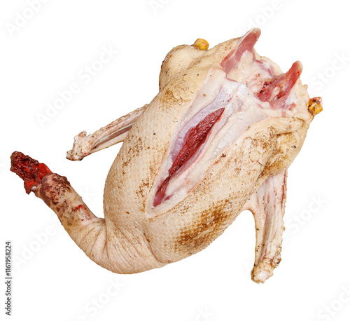 A whole chicken with its internal organs removed photo