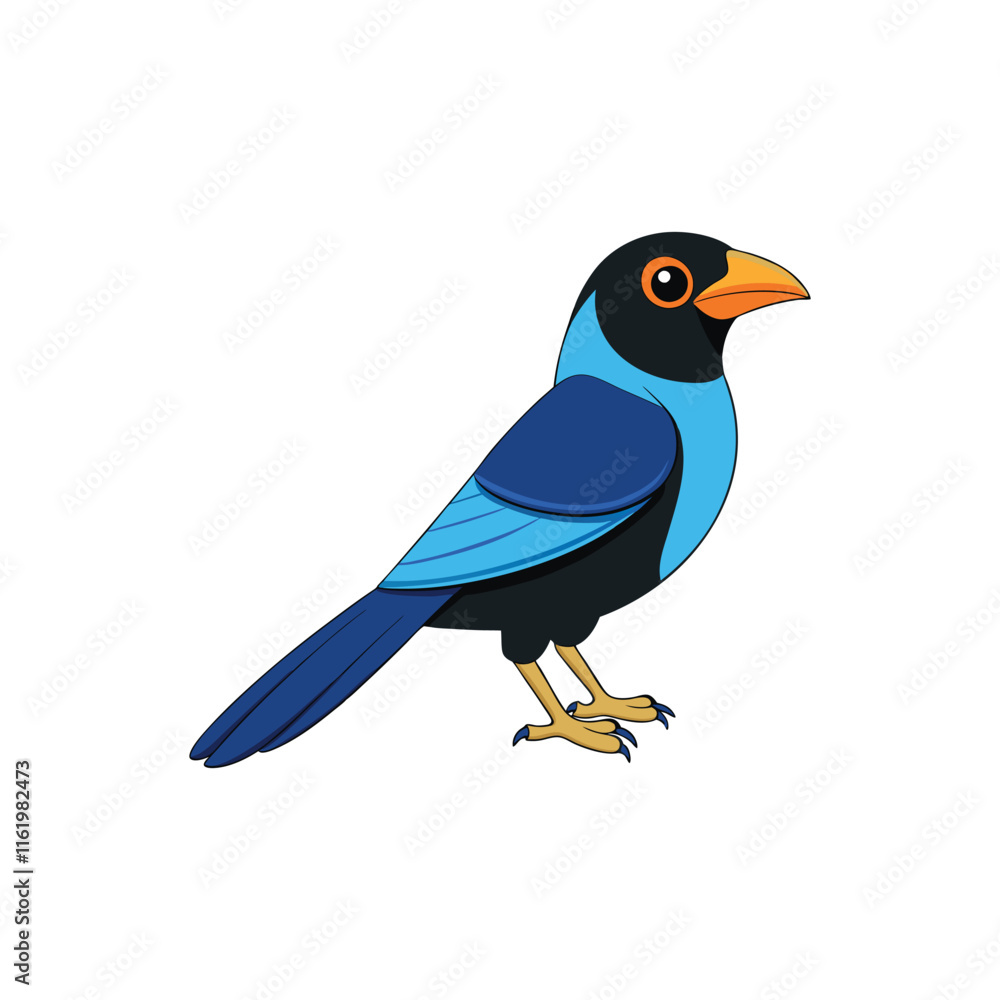 paradise tanager cartoon vector.eps paradise tanager cartoon vector.eps