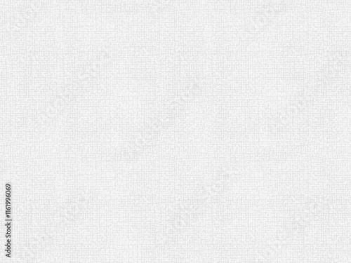white canvas texture