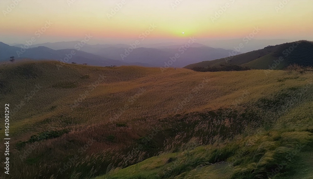 Experience the harmony of light and nature. Experience the harmony of light and nature.