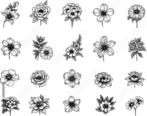 Set of flower blossom vector