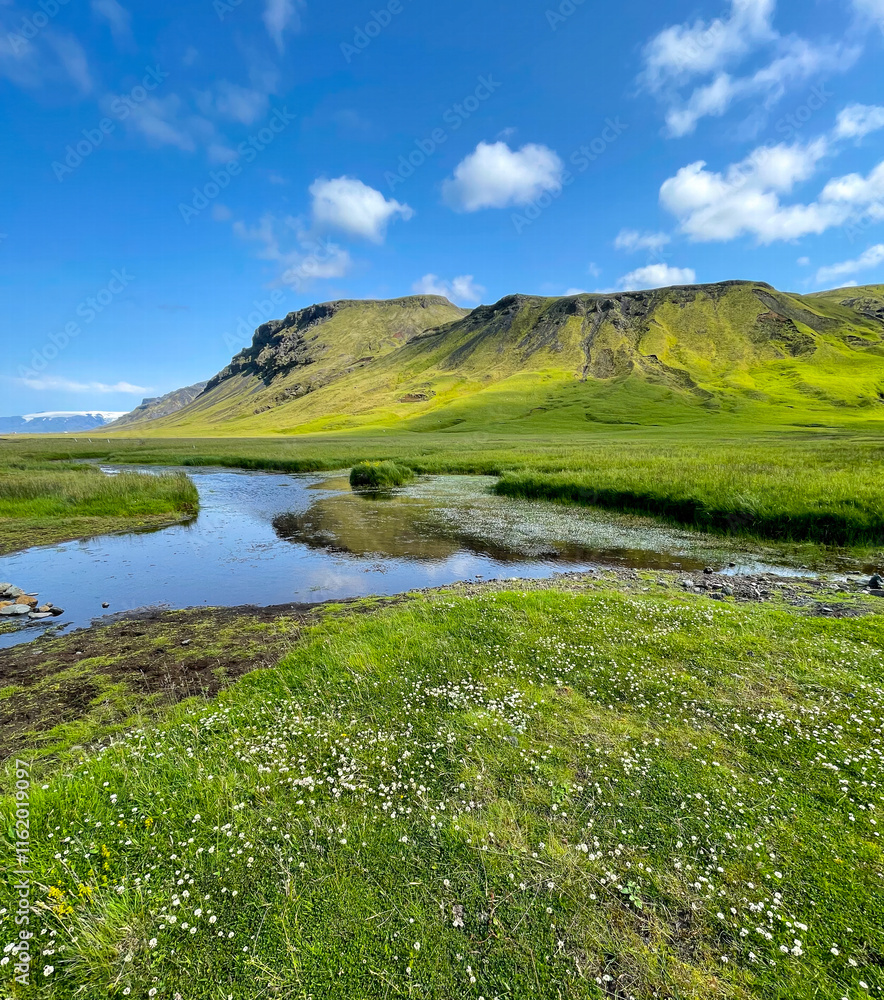 Lush green landscape near a river in Iceland Lush green landscape near a river in Iceland