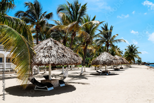 thatch roofs at the beach in Belize photo