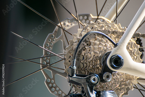 Slika na platnu brake disc of a rear wheel and gear sprockets of a road racing bicycle