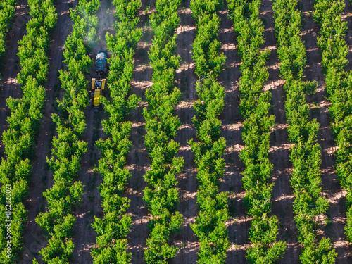 Fotografie tractor spraying pesticides on peach plantations