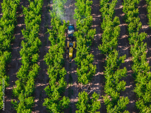 Fotografie tractor spraying pesticides on peach plantations