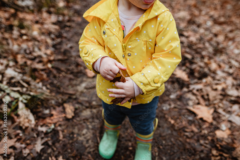 Toddler in rain gear on winter walk holding leaf