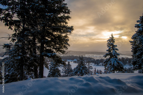 fresh snow from an over night snow dump in Pagosa Springs. photo