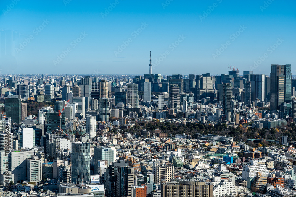 Obraz premium View of Tokyo cityscape including Tokyo Sky Tree seen from Shibuya Sky building