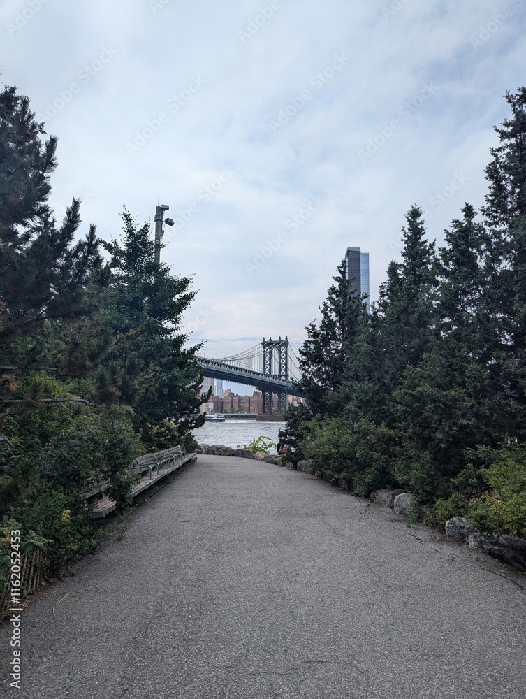 bridge over the river