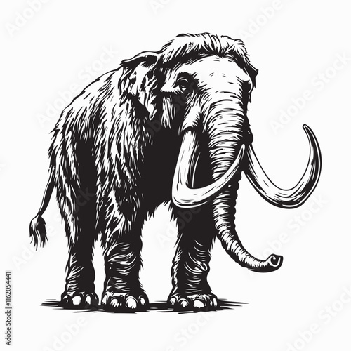 Woolly Mammoth Image vector Isolated on White Background Stock Illustration .