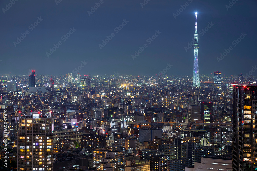 Nightlight Cityscape of Tokyo, city aerial skyscraper view of office building and downtown and street of minato in tokyo with twilight sky background. Japan, Asia