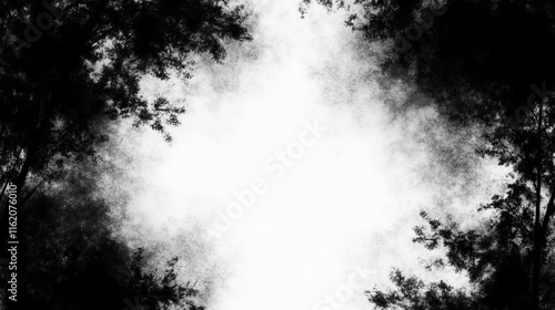 Dark Forest Frame Monochrome Nature Border