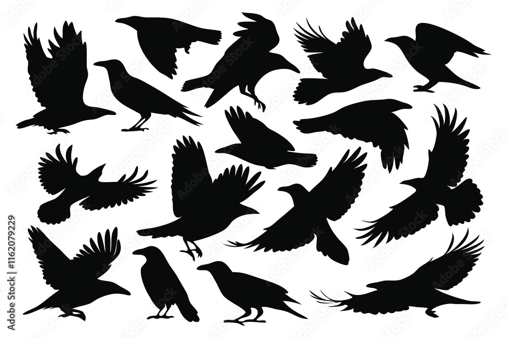 Obraz premium Crow silhouettes set isolated flat vector illustration on white background