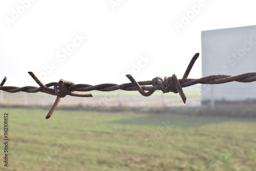 A large fence with rows of barbed wire in a field, Concrete pole with wire fencing around rice field for protection Barbed wire fence with burred image of field photo