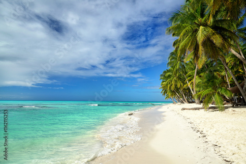 Wallpaper Mural Perfect beach in the Caribbean with warm turquoise water and lush green palm trees Torontodigital.ca