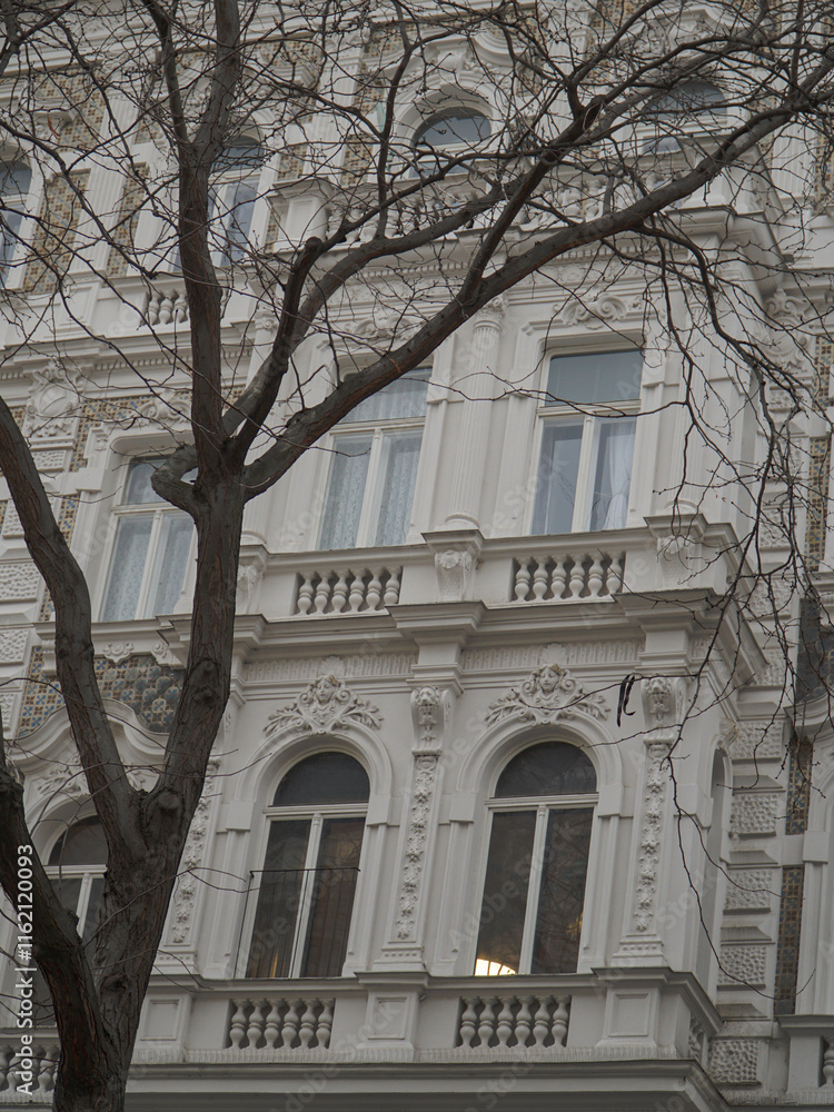 Fototapeta premium old beautiful building in Vienna, Austria