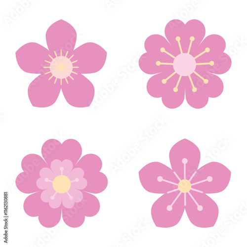 Beautiful Pink Flower Collection