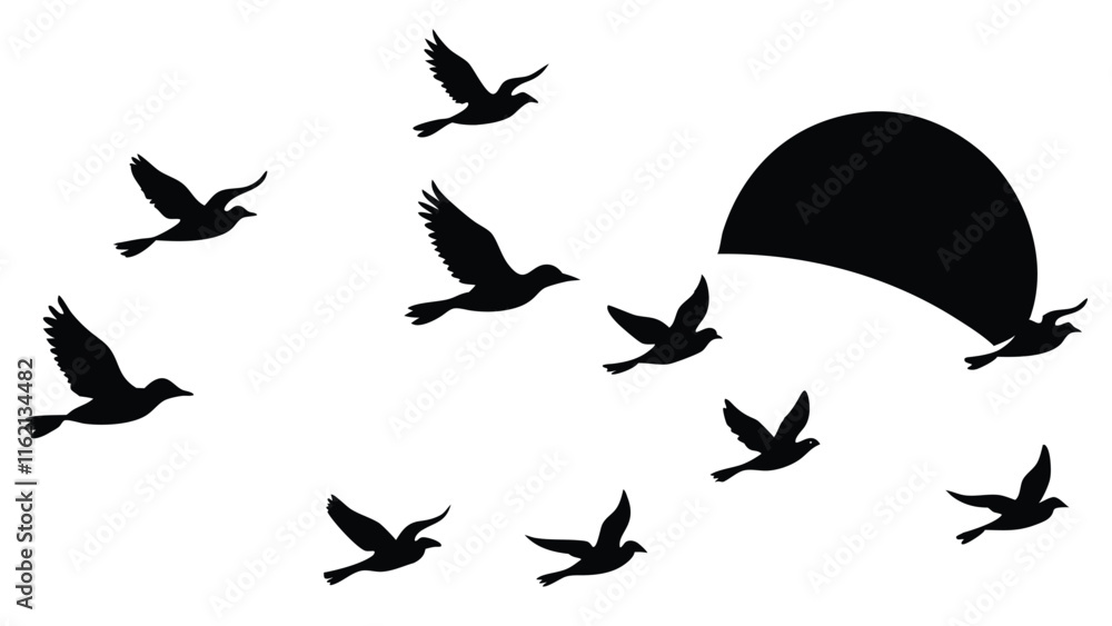 Fototapeta premium Silhouette of Birds at Sunset