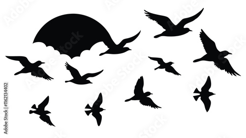 Silhouette of Birds at Sunset