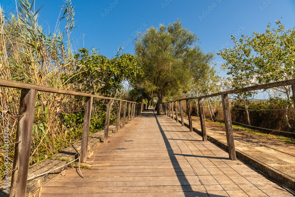 Wooden footbridge crossing s'albufera natural park in mallorca Wooden footbridge crossing s'albufera natural park in mallorca