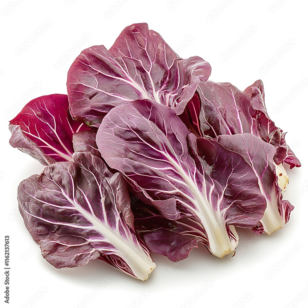 Obraz premium Outdoor food photography fresh radicchio lettuce close-up
