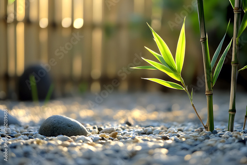 Fresh bamboo leaves unfurling gracefully in the tranquil atmosphere of a Zen garden photo