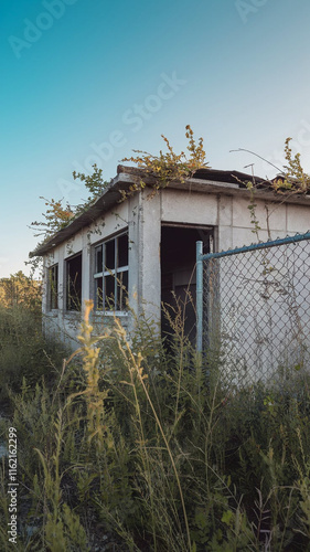 A photo of an abandoned building with overgrown weeds. The building has a few broken windows and a wooden door. The walls are painted white. The ground is covered with a variety of weeds, some of whic photo