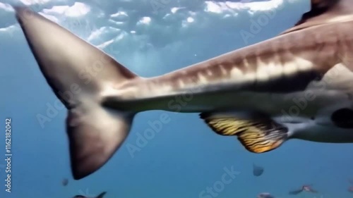 Wallpaper Mural prehistoric animals in the ocean and on land are very cool Torontodigital.ca