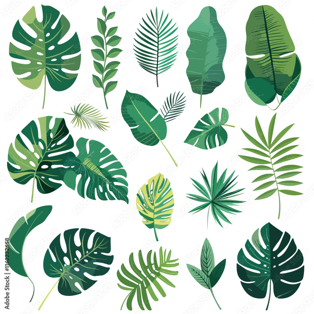 Fototapeta premium set tropical leaves