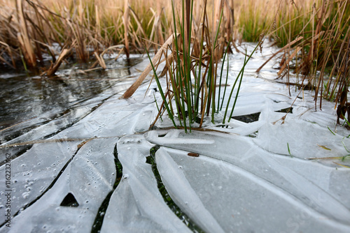 Eischicht auf der Oberfläche eines zugefrorenen Teichs photo