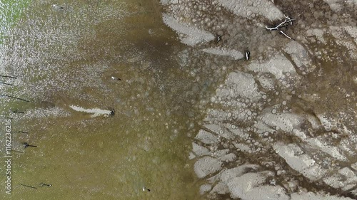 Top down into the Wilderness: A Drone's Journey Over a Wetland photo