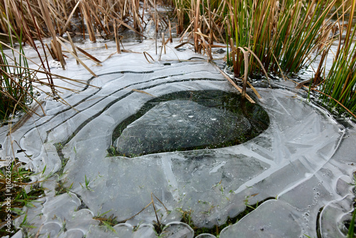 Eischicht auf der Oberfläche eines zugefrorenen Teichs photo