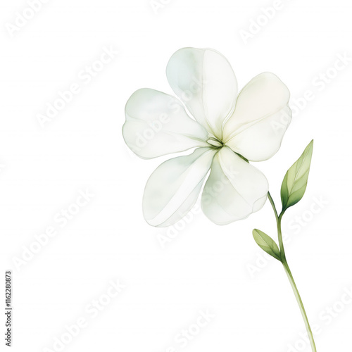 A white flower with green leaves