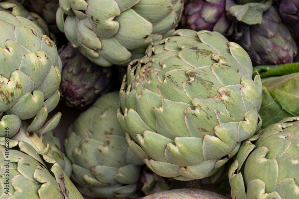 Obraz premium Big ripe uncooked green globe artichoks vegetables close up from Brittany