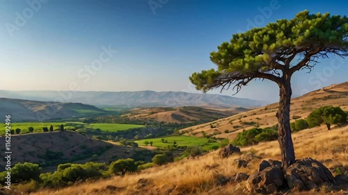 stunning Golan Heights Israel sunny summer day

