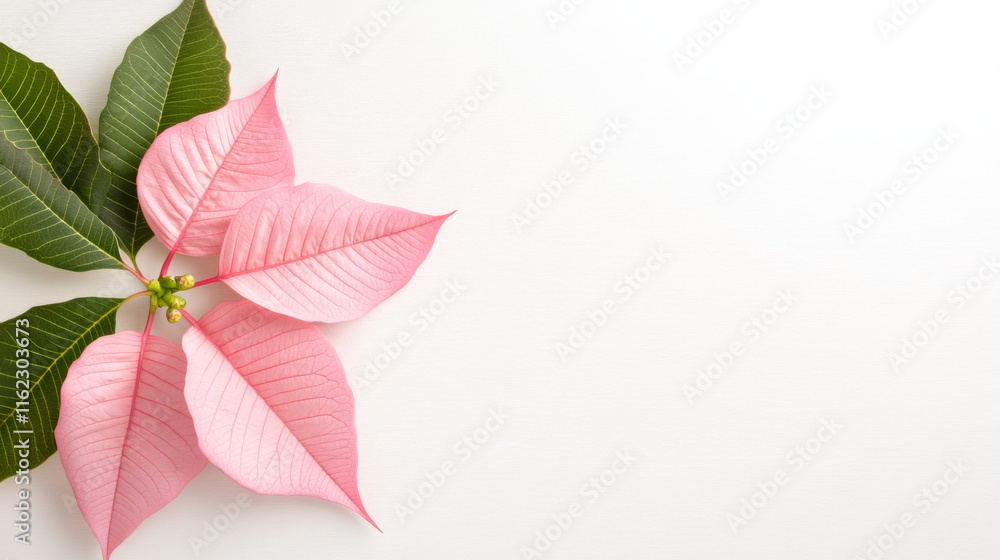 Bright pink and green leaves arranged on a white background for decoration Bright pink and green leaves arranged on a white background for decoration