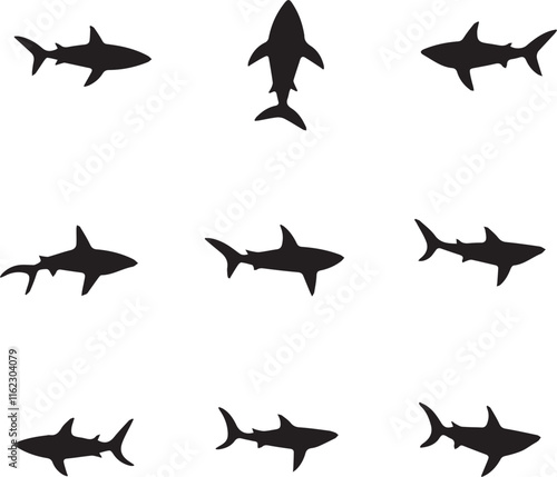 silhouettes of sharks