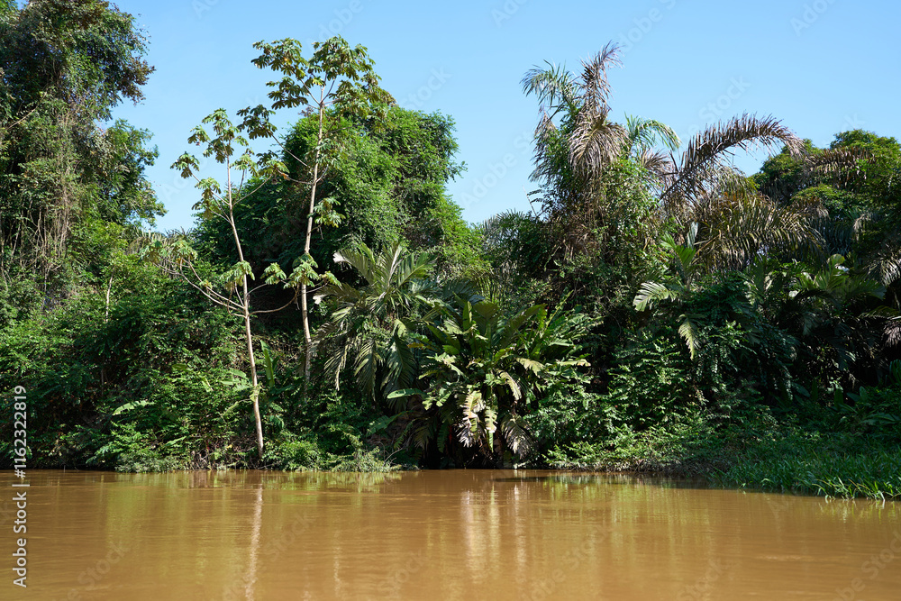Obraz premium Tortuguero, Costa Rica - November 17, 2024 - jungle landscape in the Tortuguero channel 