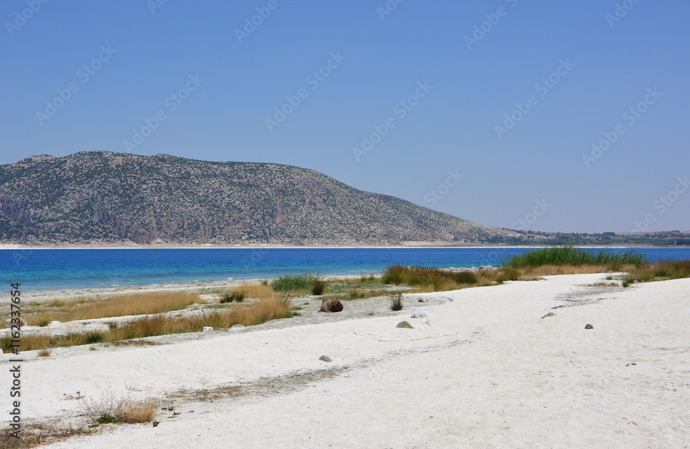 a beach with a body of water and a mountain in the background a beach with a body of water and a mountain in the background