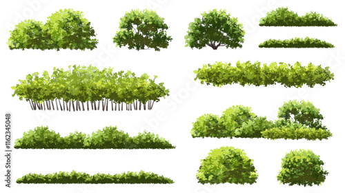  Vector watercolor green  tree or forest side view isolated on white background for landscape and architecture drawing,elements for environment or and garden,Shrub for section