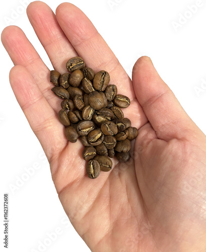 handful of beans