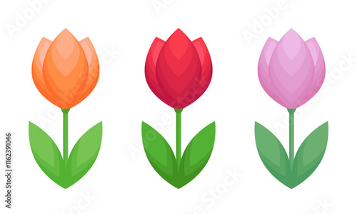 Three tulips isolated on a white  background. Flat design. Colored icon, flower vector illustration. Pink, red and orange tulip. Flower set, collection.