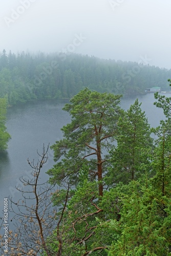  View from the steep shore of Valaam Island.                               photo