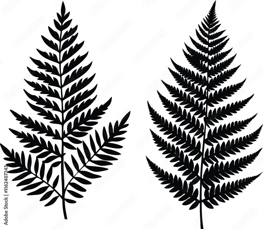 Realistic Green Fern Leaf Isolated on White Background