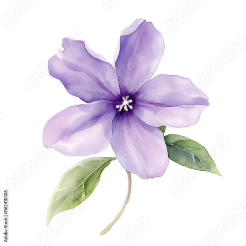 Single daphne bloom in watercolor floral artwork soft gradients clean background artistic viewpoint clipart for seasonal decor